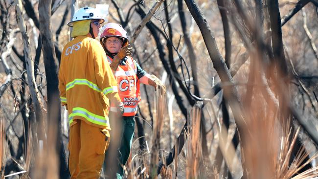 CFS investigators inspect the damage following the devastating Sampson Flat fires. Photo. Noelle Bobrige