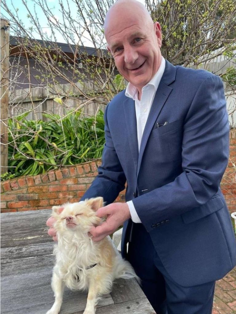 Peter Gutwein's pooch Mac #dogsinpoliticsday