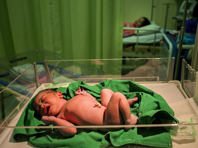 Pictures from #Green2020, Agora’s latest online photo contest. 'Newborn' by @el_one (Indonesia).