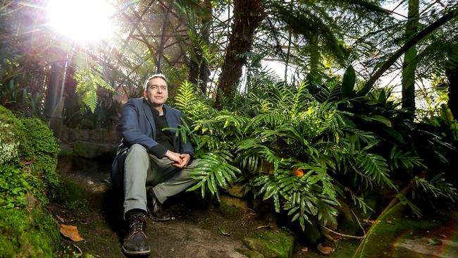 Garden manager Justin Buckley inside the spectacular fernery. Picture: Tim Carrafa