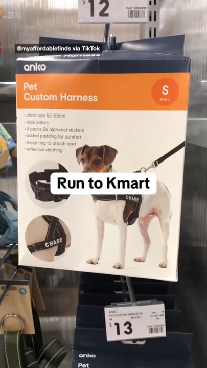 'Run to Kmart': Clip that left brand owner worried