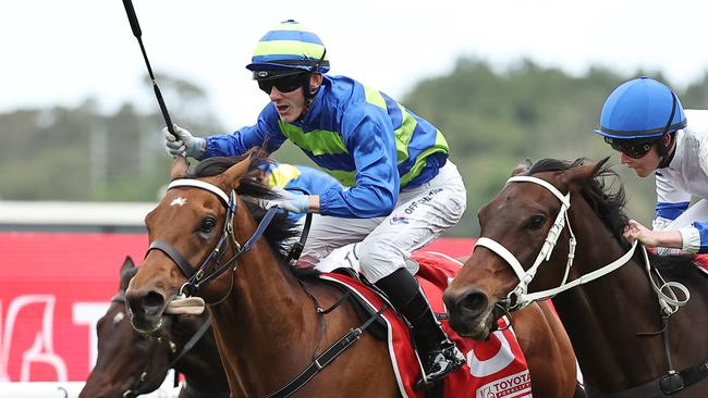 Beau Mertens guides Attrition to victory in the Group 2 Hill Stakes at Rosehill. Picture: Getty Images