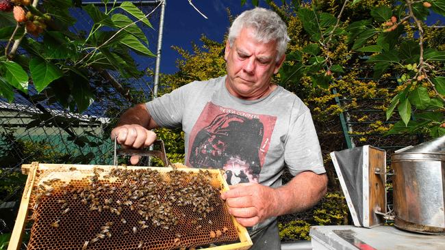 Stradbroke Island Organic Honey’s Phill Bowman who has operated for 40 years on North Stradbroke Island and who is concerned about his future. Picture: Lachie Millard