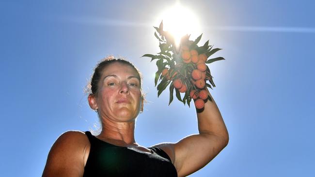 Kerrie McMartin of McMartins Farm during sunnier times. Picture: John McCutcheon