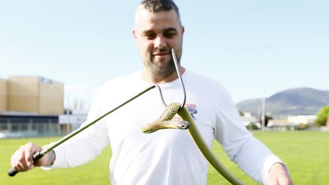 Chris Daley of Reptile Rescue responded to a call where a snake was found under a car in a shopping centre car park. Picture: MATT THOMPSON