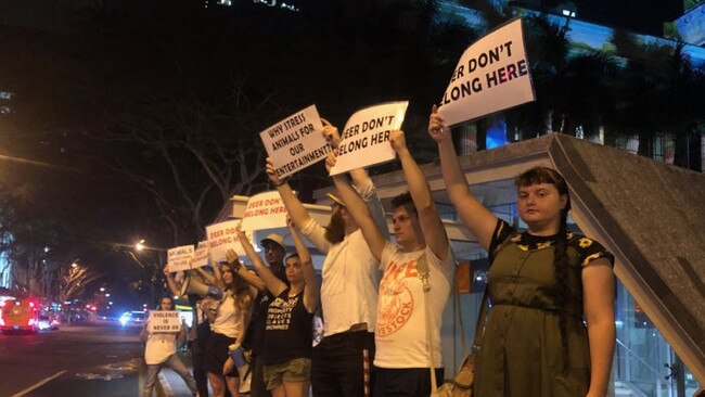 Protesters in the CBD tonight staged a vigil to highlight welfare concerns for the deer used in the Christmas parade. Photo supplied.