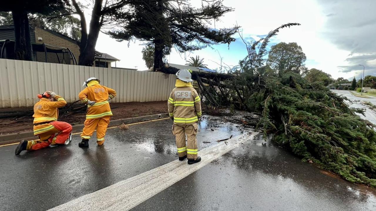 Adelaide Hills residents counting the cost of storm damage | The Advertiser