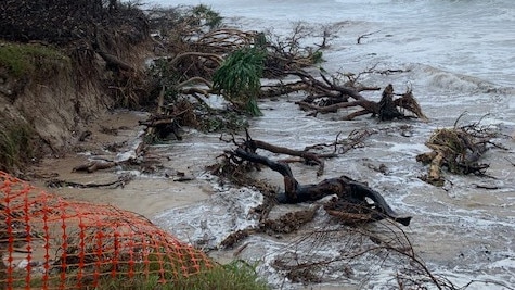 Trees and debris litter the coast at Byron Bay’s main beach. Picture: Scott Henry