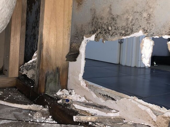 The mould has been 'eating away' at the home. Picture: 9 News