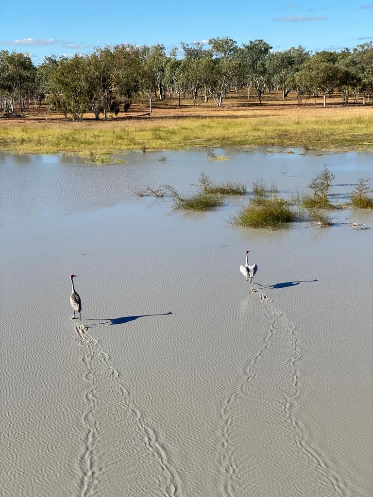 The Lakes has been purchased by the Queensland government.