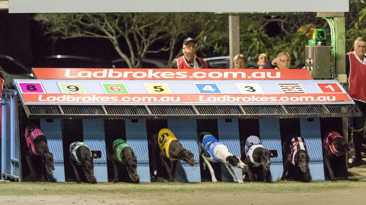 The Independent Commission Against Corruption announced it had investigated, and cleared, the GRNSW board. Picture: Brook Mitchell/Getty Images