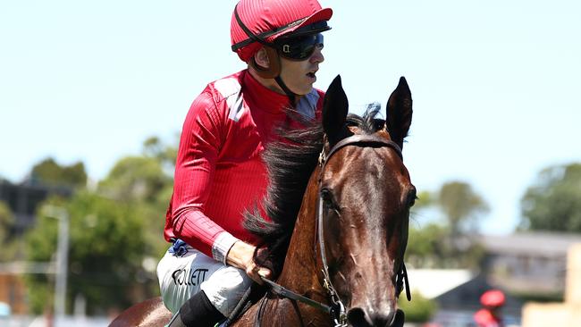 Sydney Bowler was a bit the worse for wear after his Magic Millions 3YO Guineas dramas on Saturday but 24 hours later he was up and about, much to the relief of connections. Picture: Jeremy Ng–Getty Images