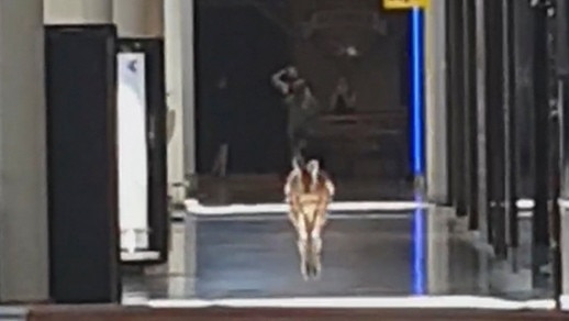 A kangaroo has been spotted at Greensborough Plaza. Picture: 3AW