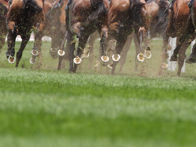 Horse racing gen pic istock