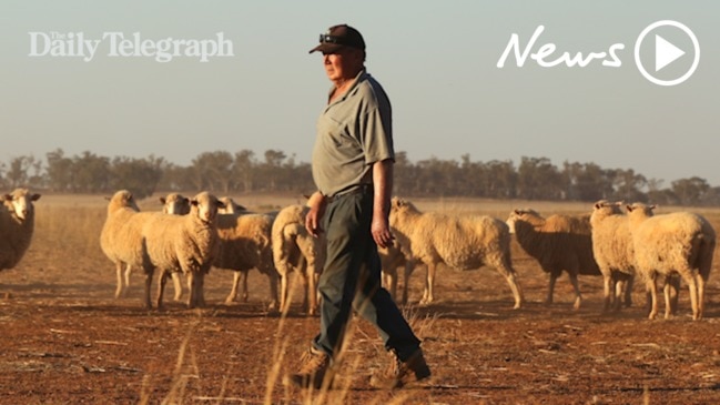 Adopt a Farmer – How you can help with the Daily Telegraph