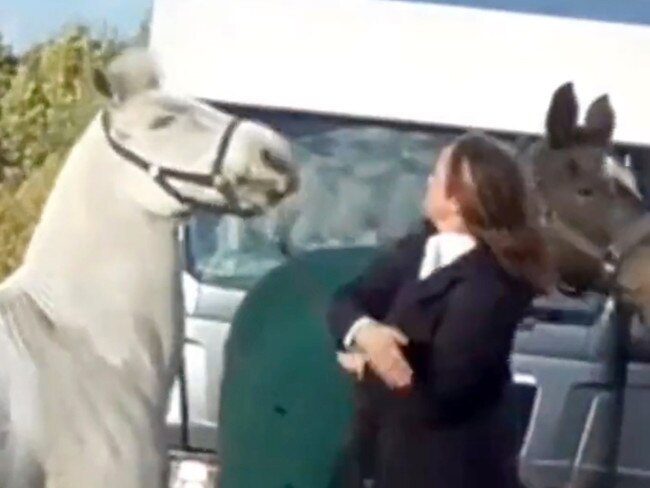 Horse rider pictured punching horse in UK. Picture: Herfordshire Hunt Saboteurs