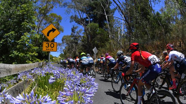 The Peloton rides near Stirling during Stage 3 of the Women's Tour Down Under on Saturday. Picture: Tim de Waele/Getty Images