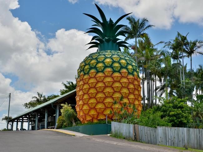 EMBARGO FOR TWAM 10 SEPTEMBER 2022. FEE MAY APPLY.  Woombye, Queensland, Australia - December 17, 2017. 16m-high Big Pineapple in Woombye, with buildings and vegetation.