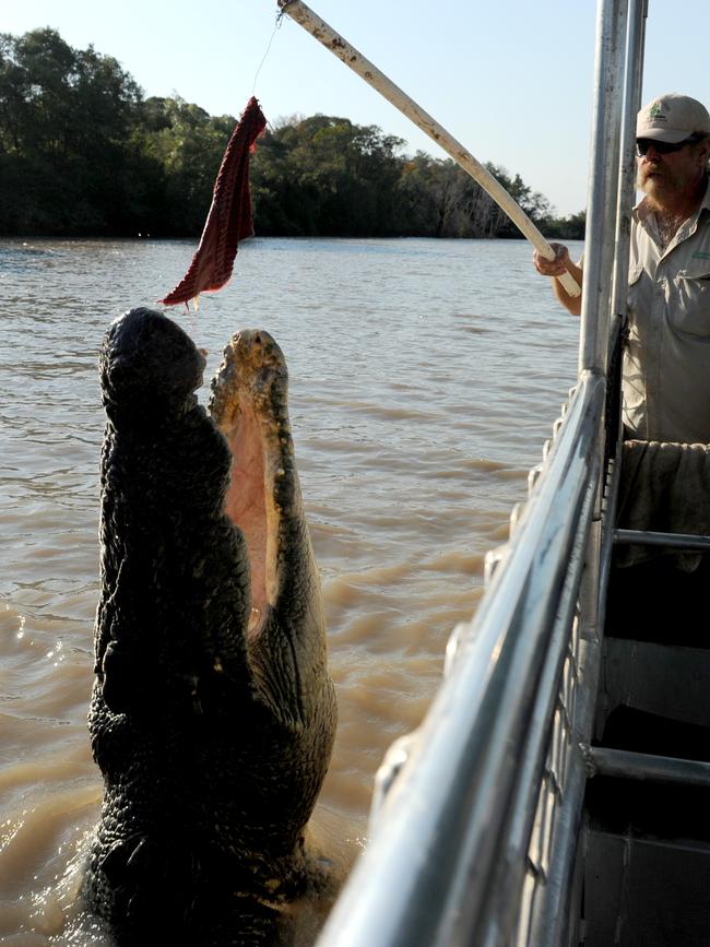 Another picture of Brutus, another front page. This time with the headline: Yes, it’s real 2’. Picture: Brad Fleet