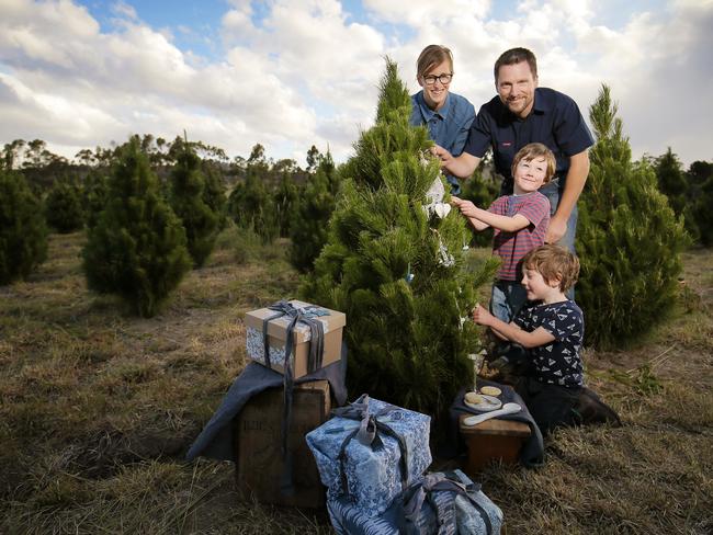 Christmas tree farm owners Natalie and Jared Mendham with their five-year-old twins Jack and Alex. Christmas tree with ceramics by Sarah Webb of Sea Soul Studio and handprinted fabric wrap by Yolanda Zarins. Picture: Richard Jupe