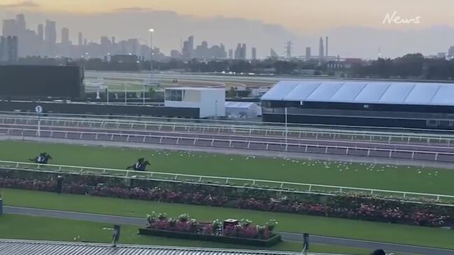 Melbourne Cup favourite gallops at Flemington