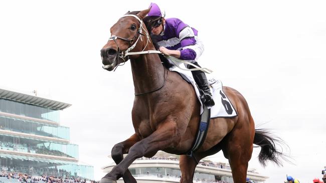 Riff Rocket can continue his charge towards the Victoria Derby with a win in the Group 3 Neds Classic over 2000m. Picture: Racing Photos via Getty Images