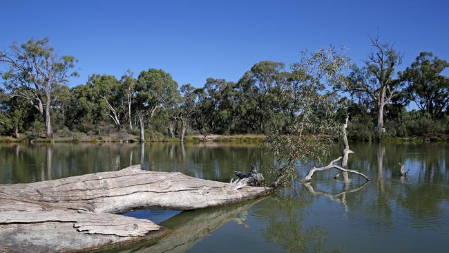 The junction of the River Murray and Darling River at Wentworth. Picture: Toby Zerna