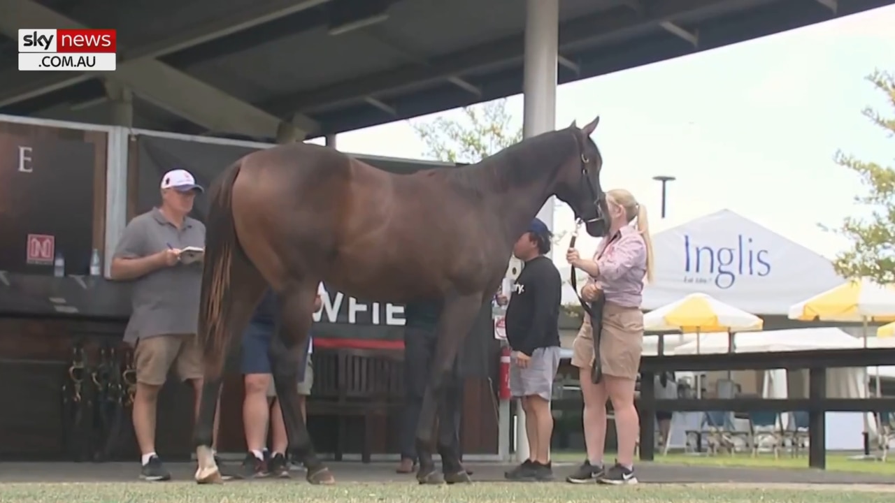Anticipation grows for upcoming Inglis' sales at Riverside