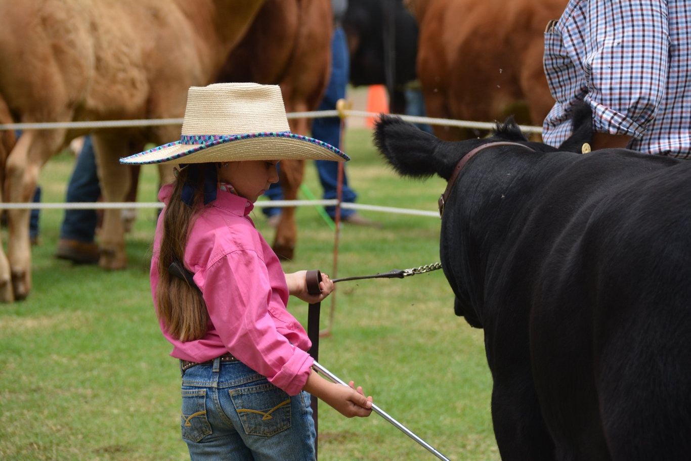 At the 71st Annual Cooyar Show. Picture: Kate McCormack
