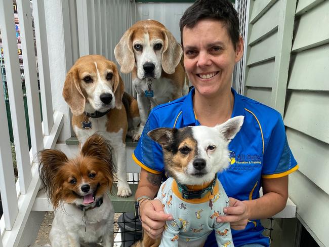 Trish Allen from All Pets Education and Training with some of her pets: Poco the chihuahua cross, 10, Beagles Humphrey, 9, and Lucy, 5, and Lincoln the Papillion, 3. Picture: Supplied