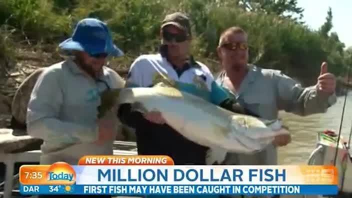 NT Tourism: Million Dollar Fish Case Study