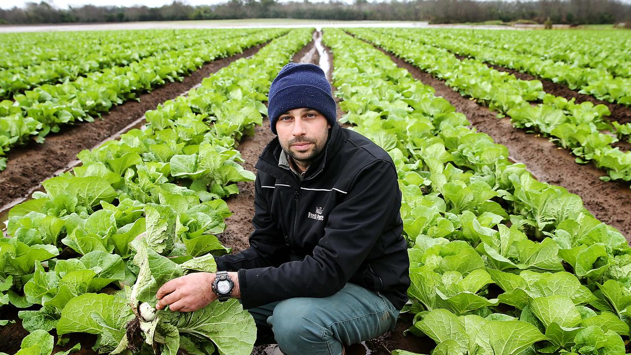 Farmer Matt Vella in his drenched fields of Chinese cabbage inspecting the damage of floodwaters as the cost of living crisis worsens. Picture: Jane Dempster/The Australian