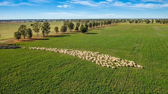 Euglo in central NSW was sold for more than $16 million.