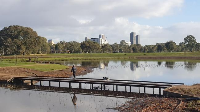 AFTER: The Victoria Park wetlands on June 1. Picture: Colin James