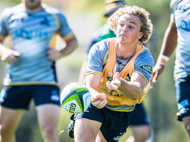 ACT Brumbies halfback Joe Powell. Picture: Supplied