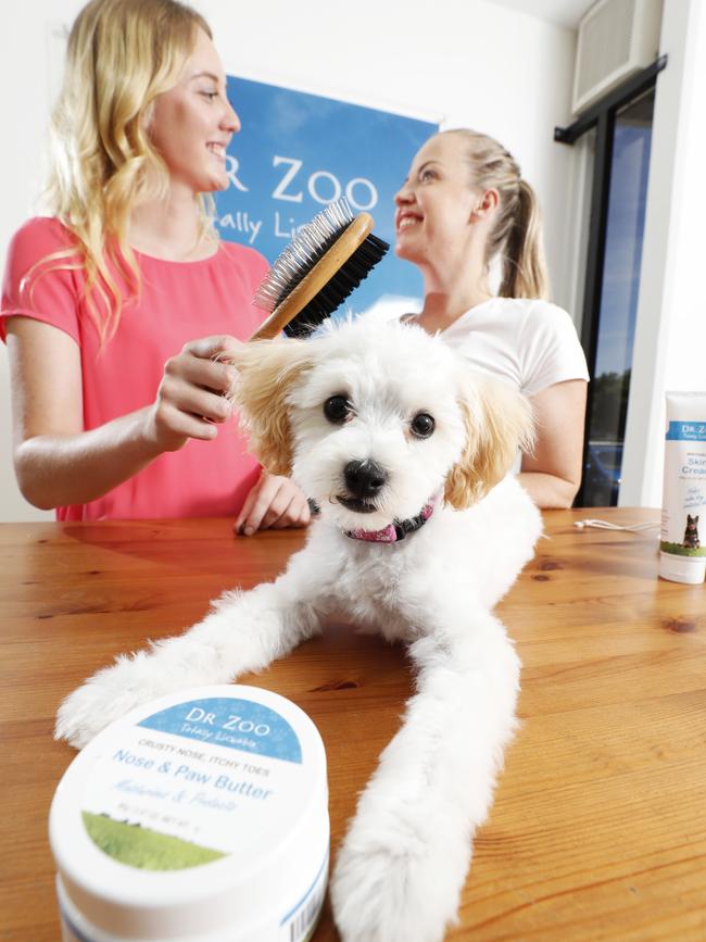 Pictured are dog owner Hannah Norton (left) and Kate Worrell from Dr Zoo with Ellie. Pic Tim Marsden