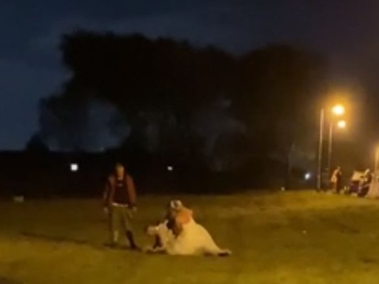 She could be seen wrestling a man on a rugby pitch outside the Penlan RFC venue where her wedding took place. Picture: Reddit