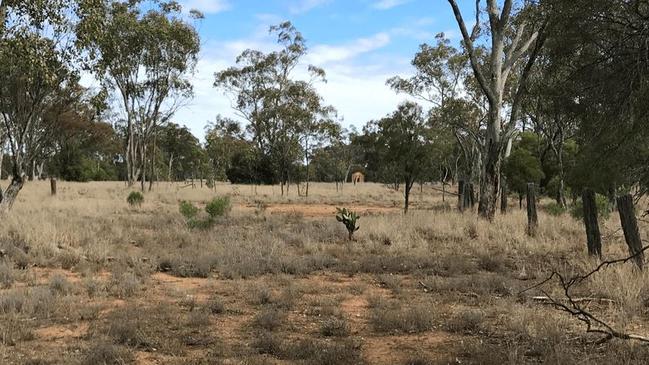 The site in Mungallala was originally home to a church, built in 1910, but is now free and ready for use. Picture: realestate.com.au