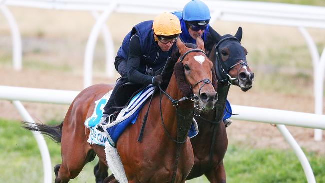 Kerrin McEvoy putting Cross Counter through its paces. (Photo by Michael Dodge/Getty Images)