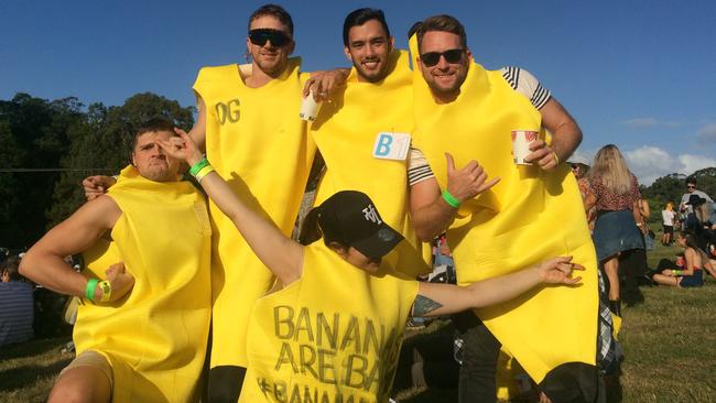 Bananas at the Big Pineapple Music Festival in 2018.