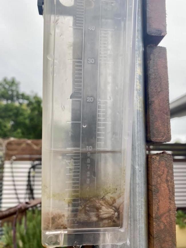 9.5mm was recorded by a Withcott resident overnight.