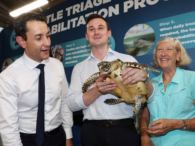 Leader of the Opposition David Crisafulli and Shadow Minister for Environment Sam O'Connor with Dennis the juvenile Hawksbill turtle, and Turtle Triage and Rehabilitation Centre co-founder Jennie Gilbert during a tour of Cairns Aquarium. Picture: Liam Kidston