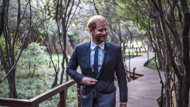 Harry previously claimed that his family had cut him off financially, only for evidence to emerge of the contrary. Picture: Brian Otieno/Getty Images for Sentebale.