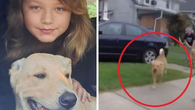 The family were left devastated after the cop shot their dog dead.