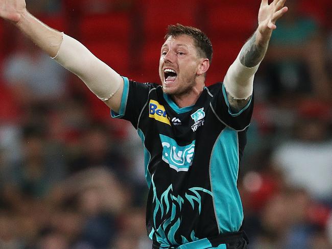 Big appeal from Heat's James Pattinson during the BBL match between the Sydney Thunder and Brisbane Heat at Spotless Stadium. Picture. Phil Hillyard