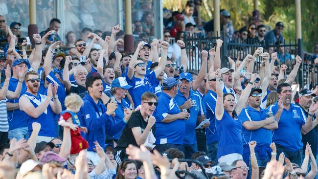 Athelstone supporters celebrate during last season’s division two Adelaide Footy League grand final. Picture: Brenton Edwards