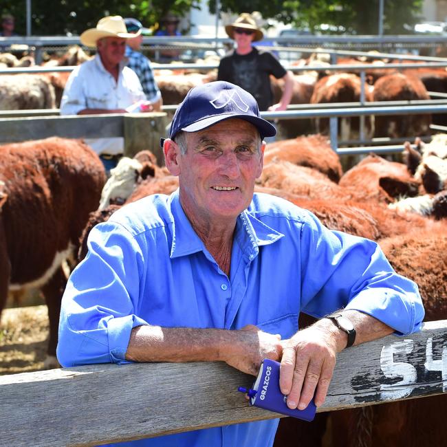 Peter Faithfull sold top priced calves at the Omeo Hereford sale. Picture: Zoe Phillips