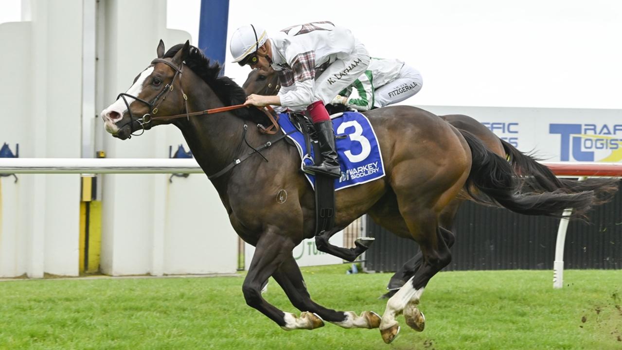 Local gelding Zaragoza can bounce back from a luckless run last start. Picture: Bradley Photos