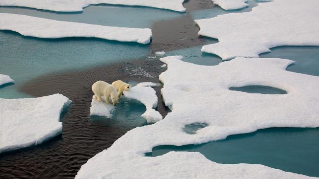 A fellow passenger, sitting on her bed tying her shoelaces, looked up to see two bears – likely a mother and cub – on a drifting ice floe. 