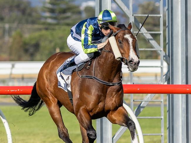 Taunting wins at Morphettville Parks last September. Picture: Makoto Kaneko